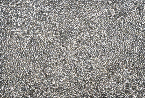 Bush Medicine LeavesOriginal Aboriginal ArtAbie Loy KemarreBoomerang Art