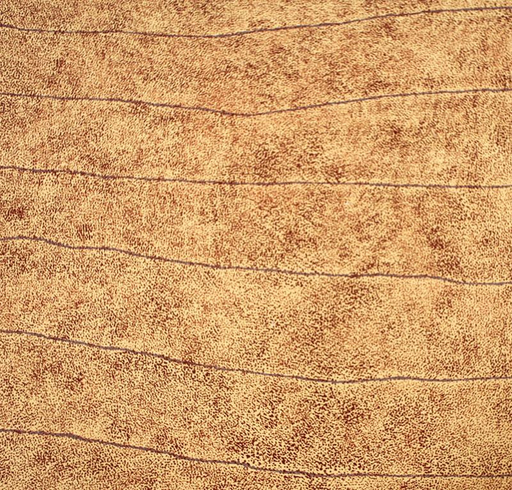 Bush Seed DreamingOriginal Aboriginal ArtKathleen Petyarre (c.1938 to 2018)Boomerang Art