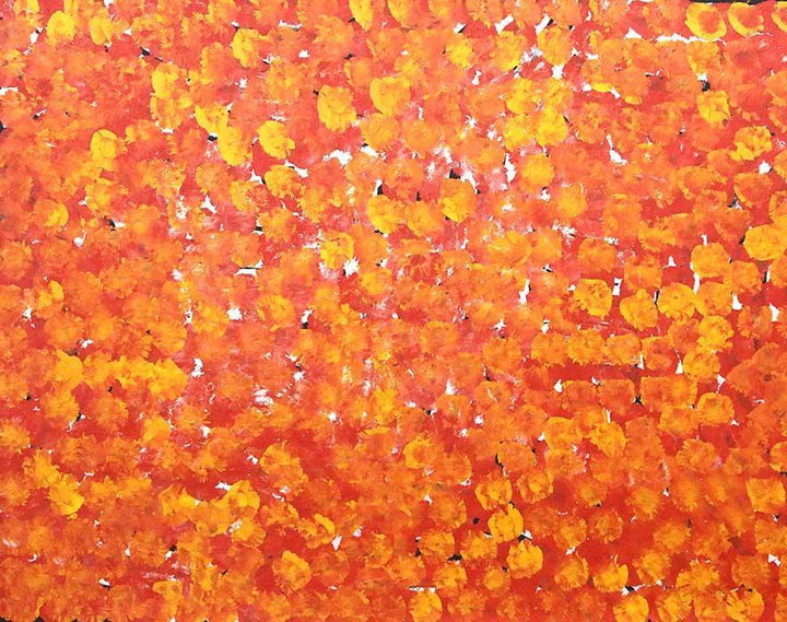 Awelye - Women's CeremonyOriginal Aboriginal PaintingGalya PwerleBoomerang Art