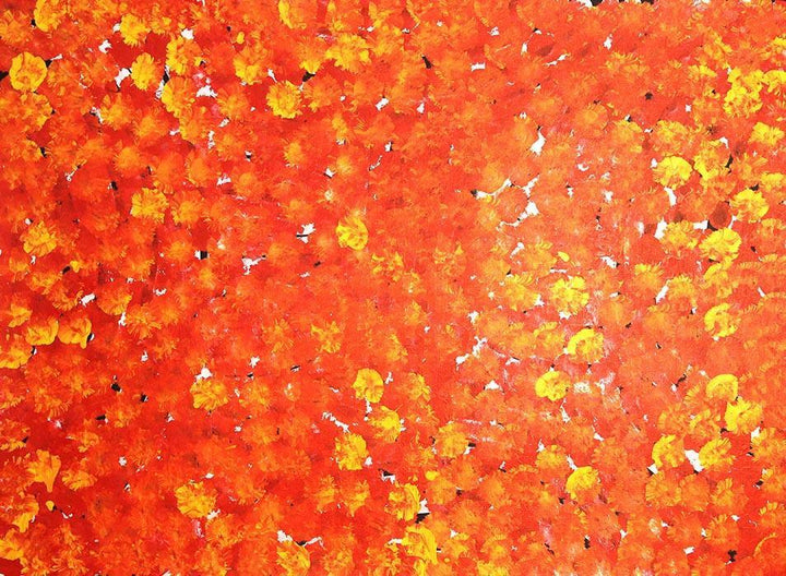 Awelye - Women's CeremonyOriginal Aboriginal ArtGalya PwerleBoomerang Art