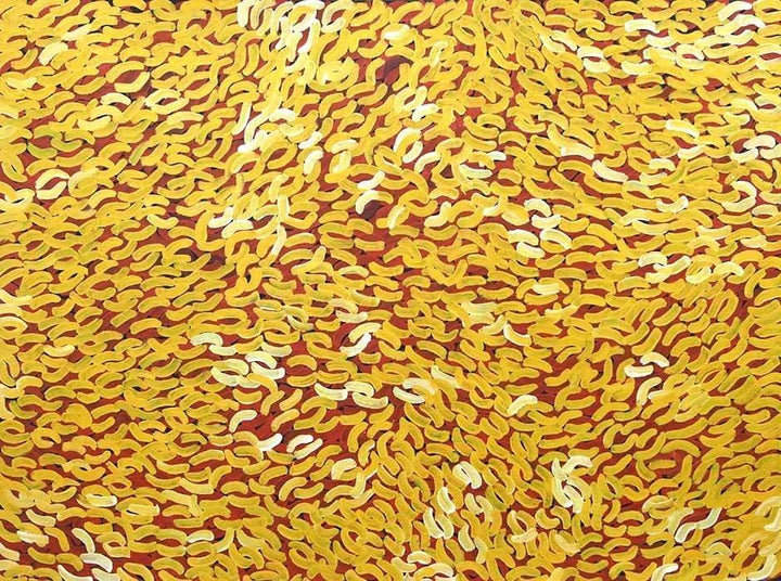 Grass Seed DreamingOriginal Aboriginal ArtGalya PwerleBoomerang Art