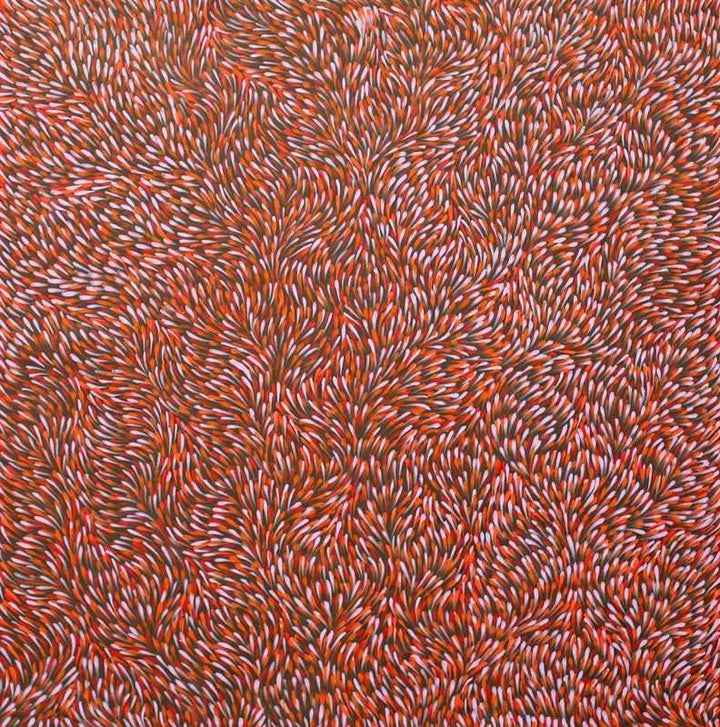 Bush Medicine DreamingOriginal Aboriginal ArtGloria Tamerre PetyarreBoomerang Art