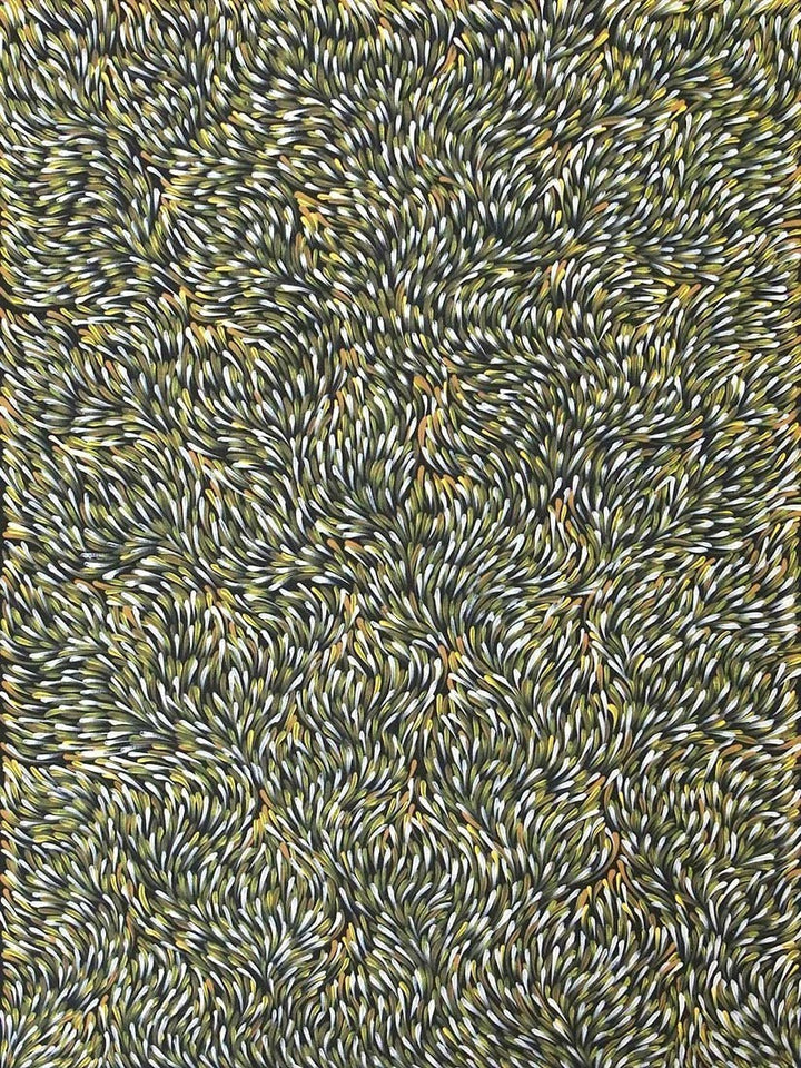 Medicine LeavesOriginal Aboriginal ArtGloria Tamerre PetyarreBoomerang Art