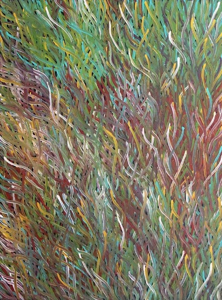 Grass Seed DreamingOriginal Aboriginal ArtBarbara WeirBoomerang Art