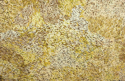 Grass SeedsOriginal Aboriginal ArtGalya PwerleBoomerang Art