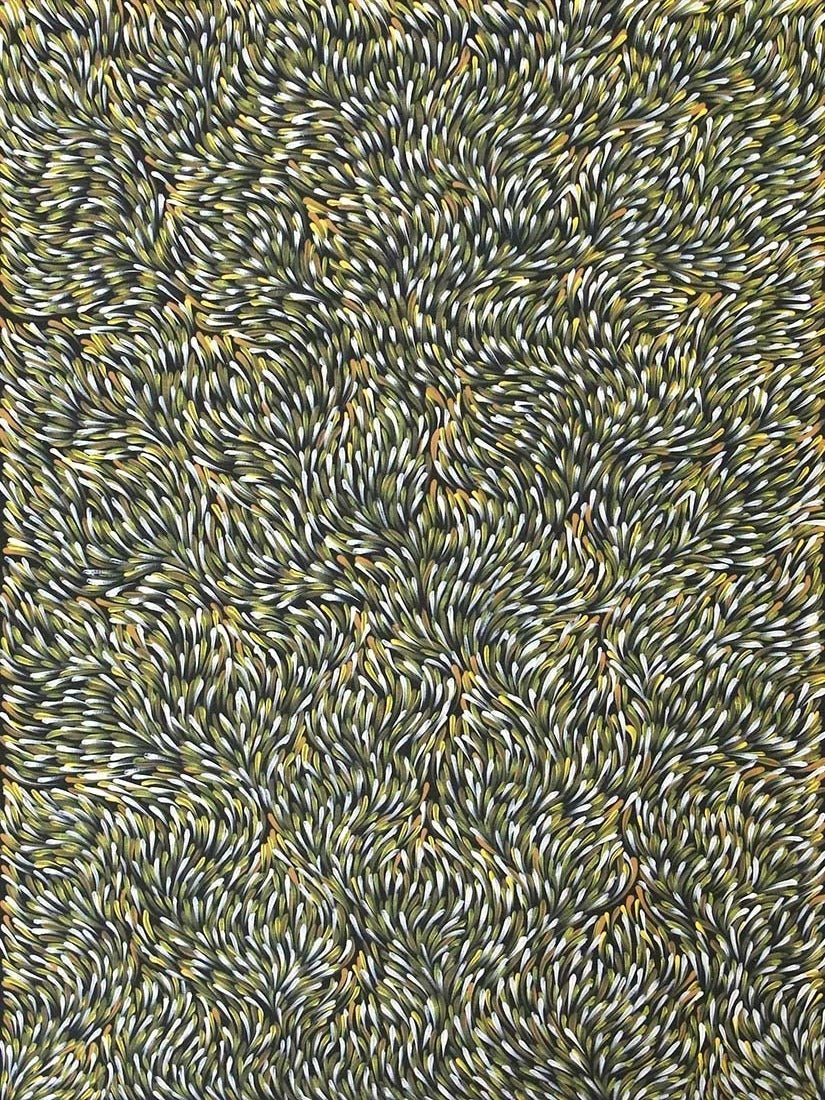 Medicine LeavesOriginal Aboriginal ArtGloria Tamerre PetyarreBoomerang Art