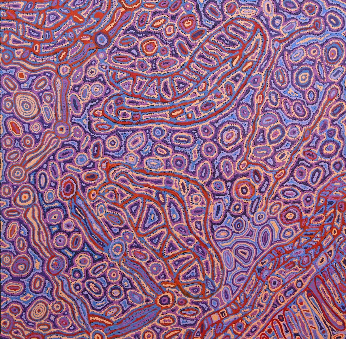 Lappi LappiOriginal Aboriginal ArtMagda Nakamarra CurtisBoomerang Art